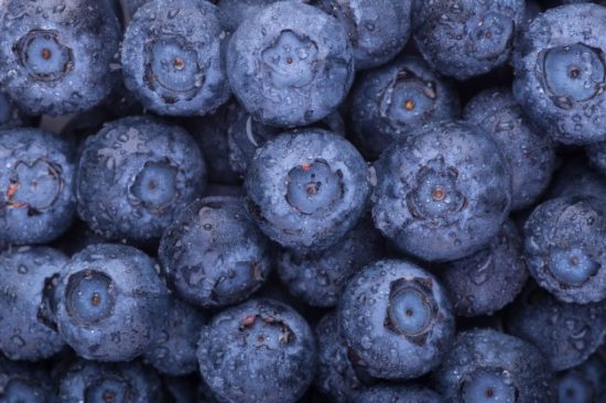 productores de arándanos en españa