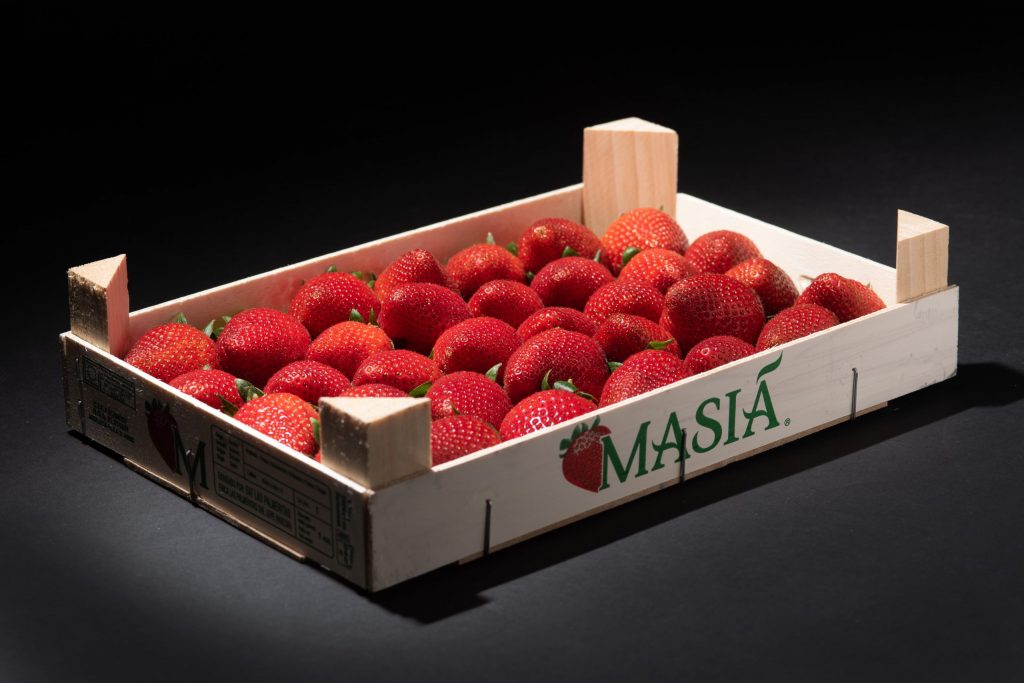 productores de berries de calidad