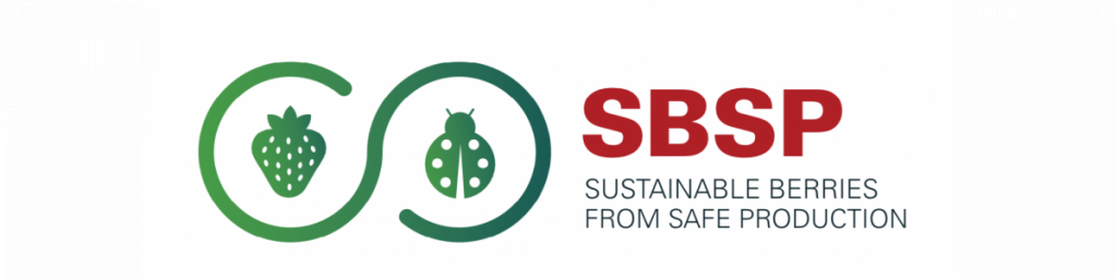 Certificado de calidad SBSP