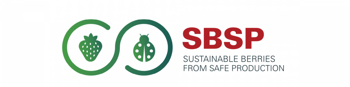 Certificado de calidad SBSP