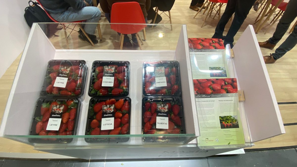 Feria internacional Fruit Logística Berlín 2023