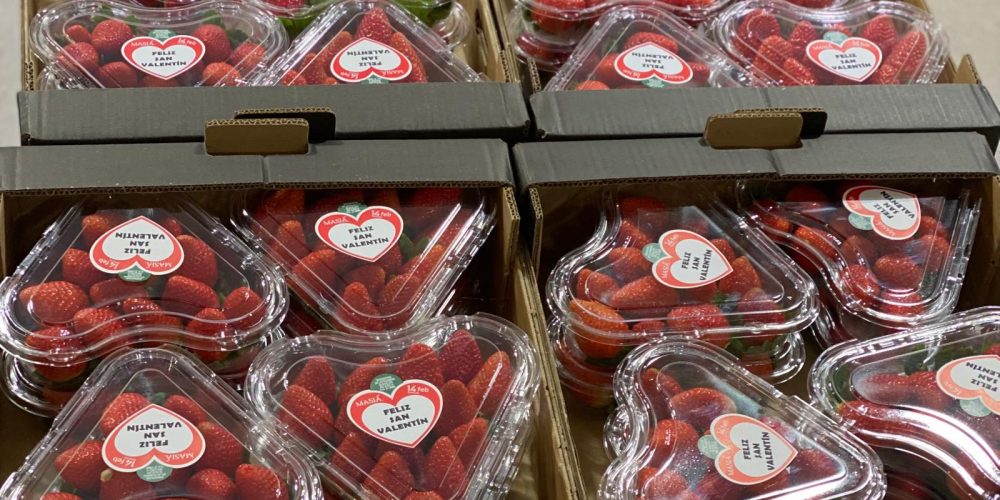 Fresas San Valentín