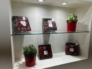 Masiá-Ciscar-Fruit-Logistica-2024