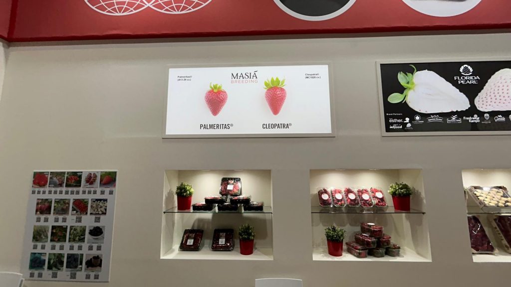 masia-ciscar-fruit-logistica-2024