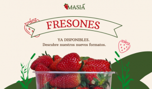 Fresones de Huelva