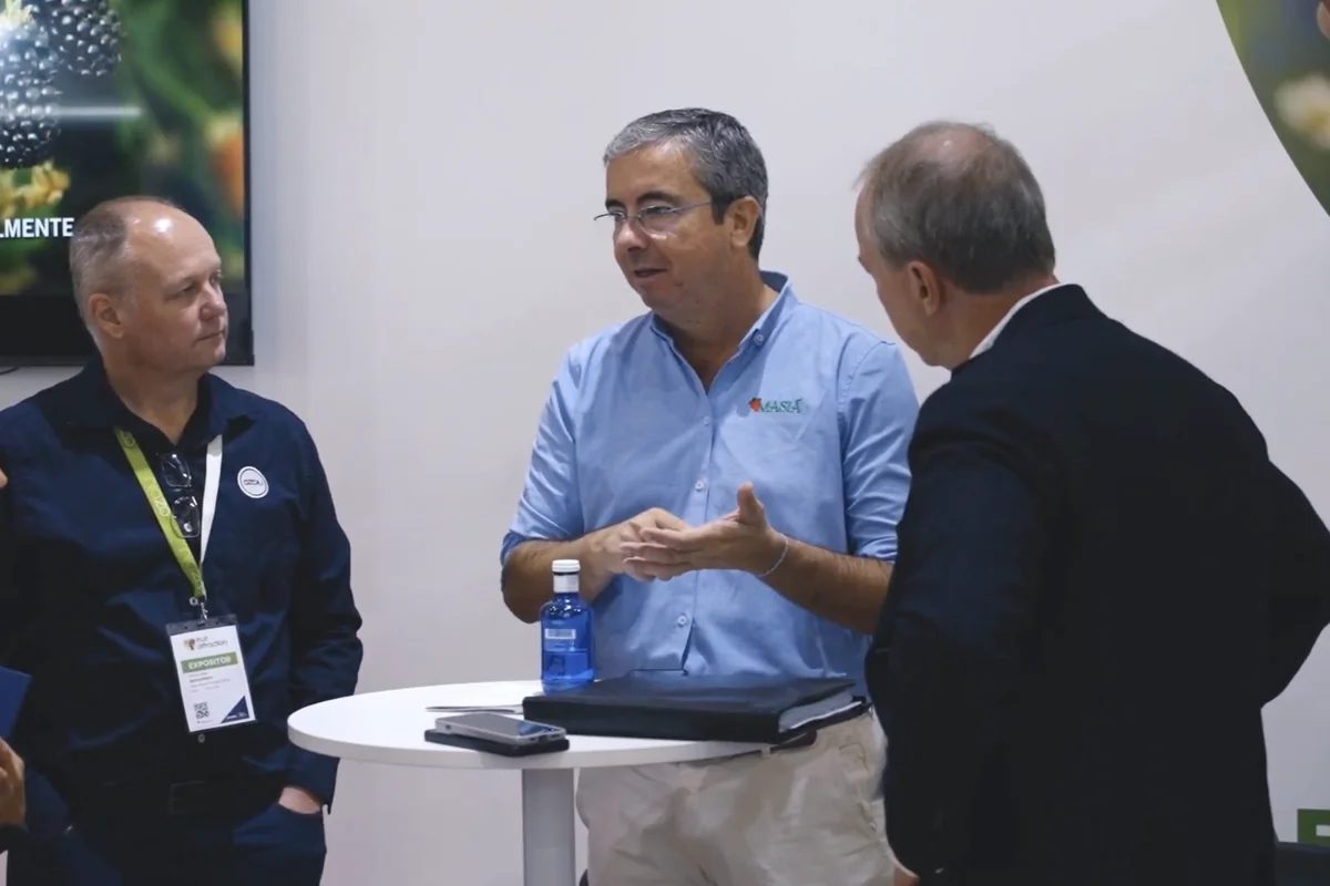 Innovación agrícola en fresón y berries - Masiá Ciscar